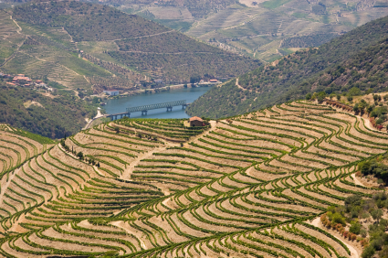 Douro